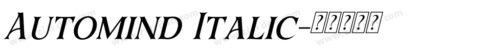 Automind Italic字体转换